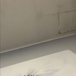 Meet your Posher, Carlos